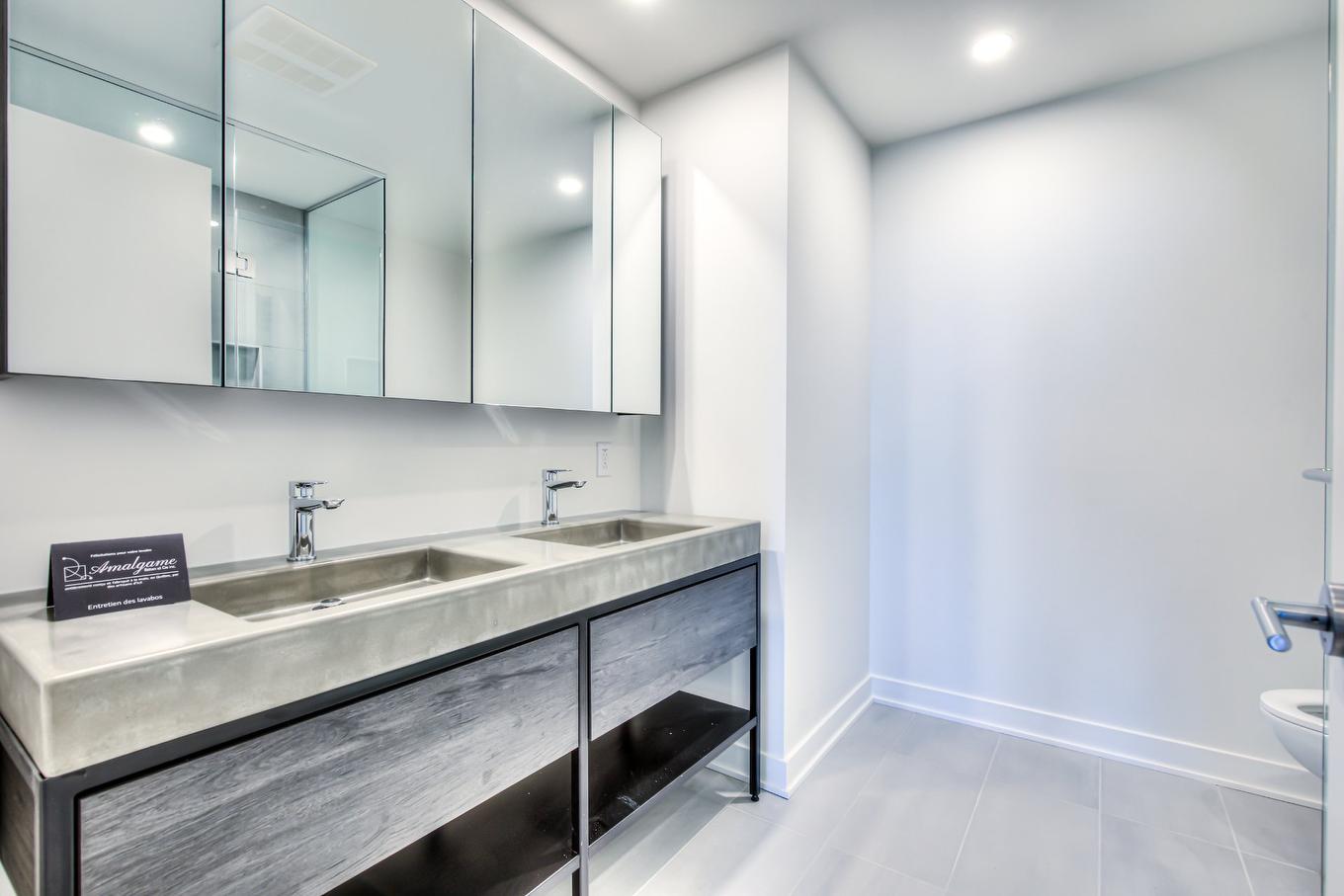 Bathroom - 424-201 Rue Jacques-Le Ber, Montréal (Verdun/Île-Des-Soeurs), QC - Indoor Photo Showing Bathroom