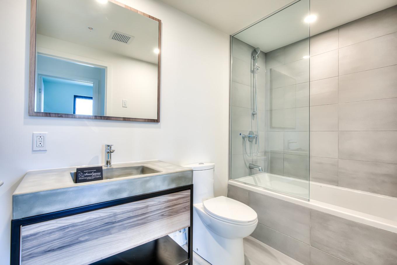 Bathroom - 424-201 Rue Jacques-Le Ber, Montréal (Verdun/Île-Des-Soeurs), QC - Indoor Photo Showing Bathroom