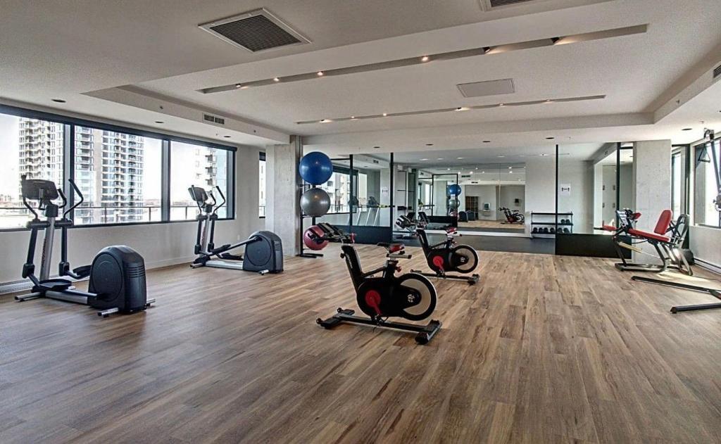 Exterior - 424-201 Rue Jacques-Le Ber, Montréal (Verdun/Île-Des-Soeurs), QC - Indoor Photo Showing Gym Room