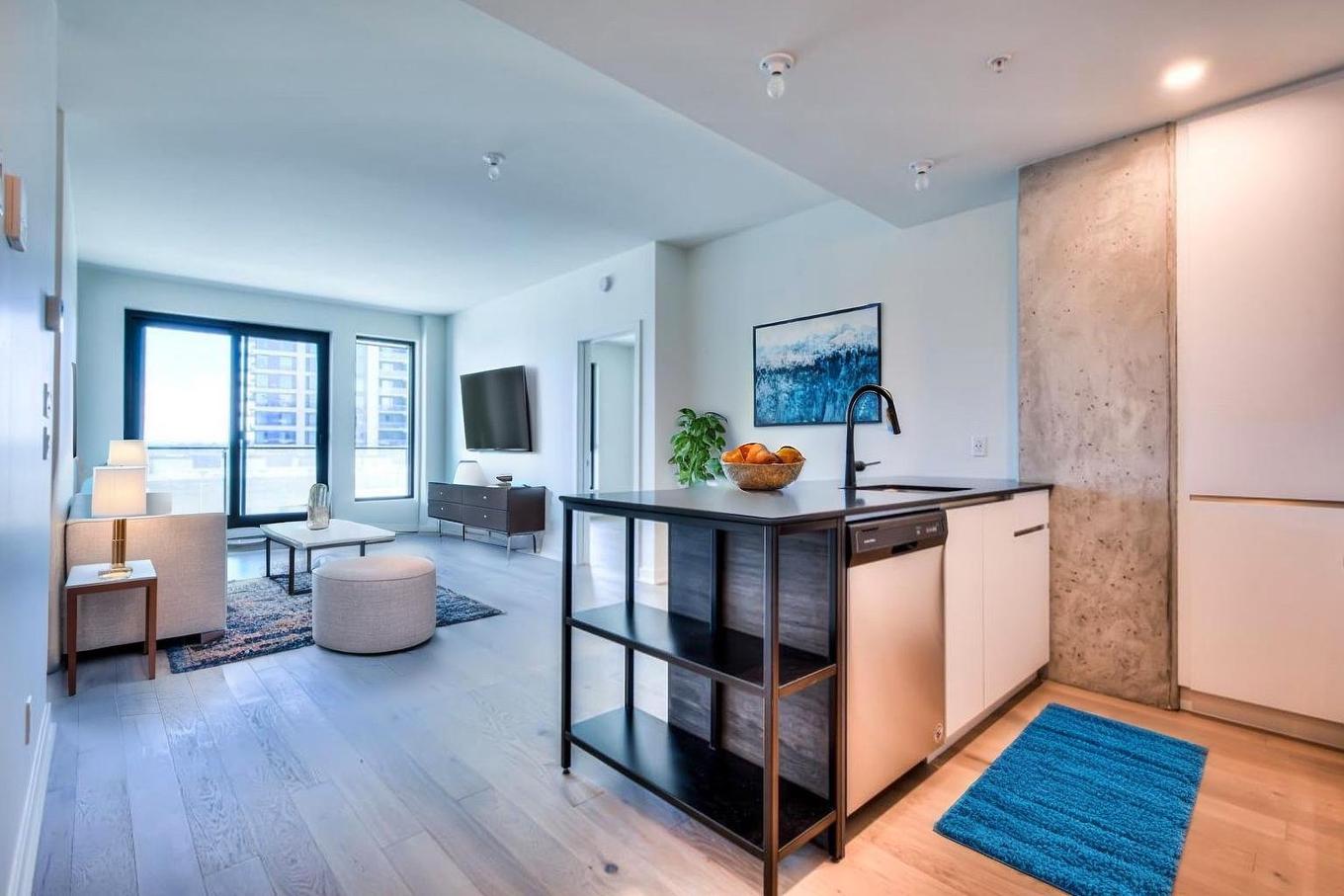 Living room - 424-201 Rue Jacques-Le Ber, Montréal (Verdun/Île-Des-Soeurs), QC - Indoor