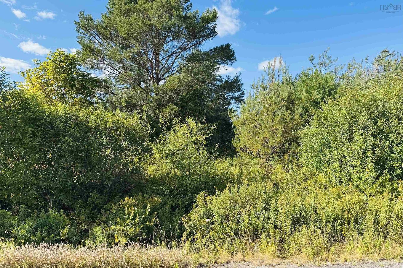 6 Sargent Avenue, Parrsboro, NS