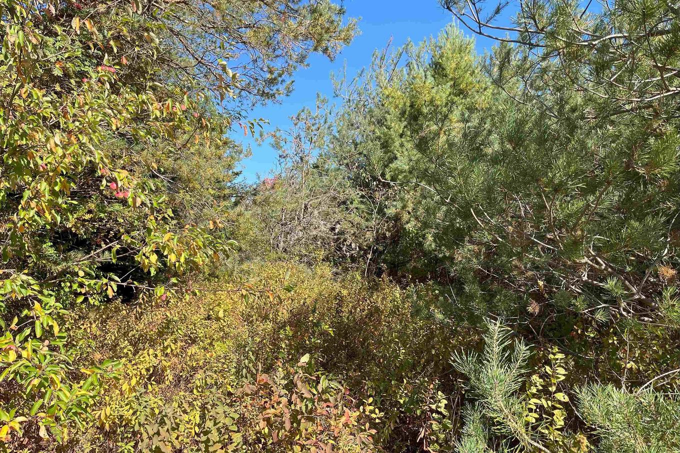 6 Sargent Avenue, Parrsboro, NS