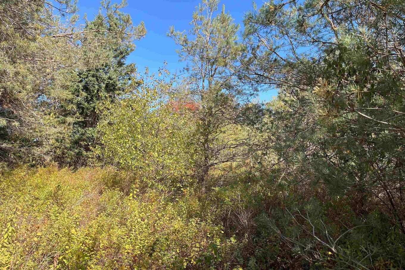 6 Sargent Avenue, Parrsboro, NS