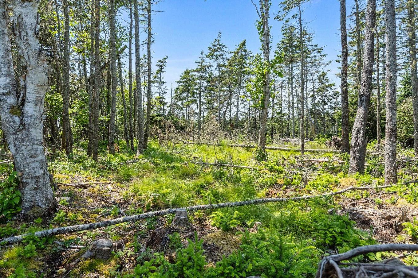 Lot Highway 207, Seaforth, NS