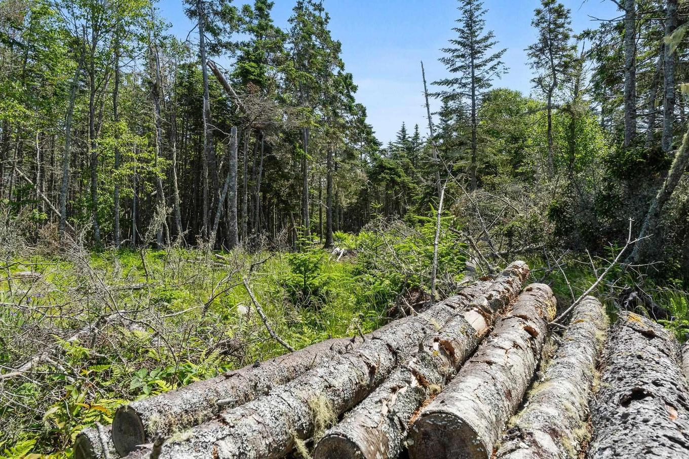 Lot Highway 207, Seaforth, NS