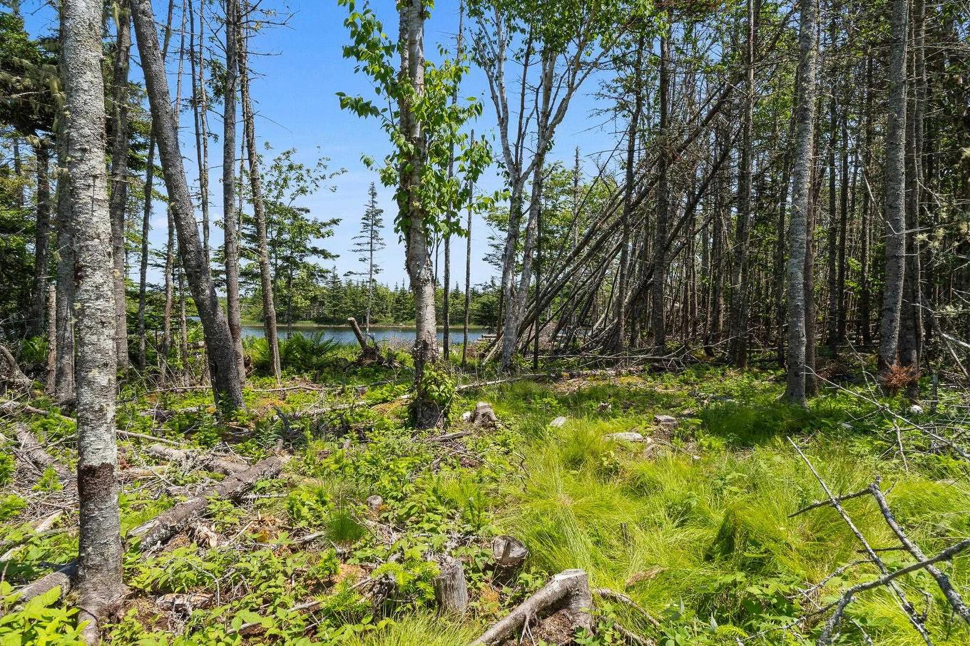 Lot Highway 207, Seaforth, NS