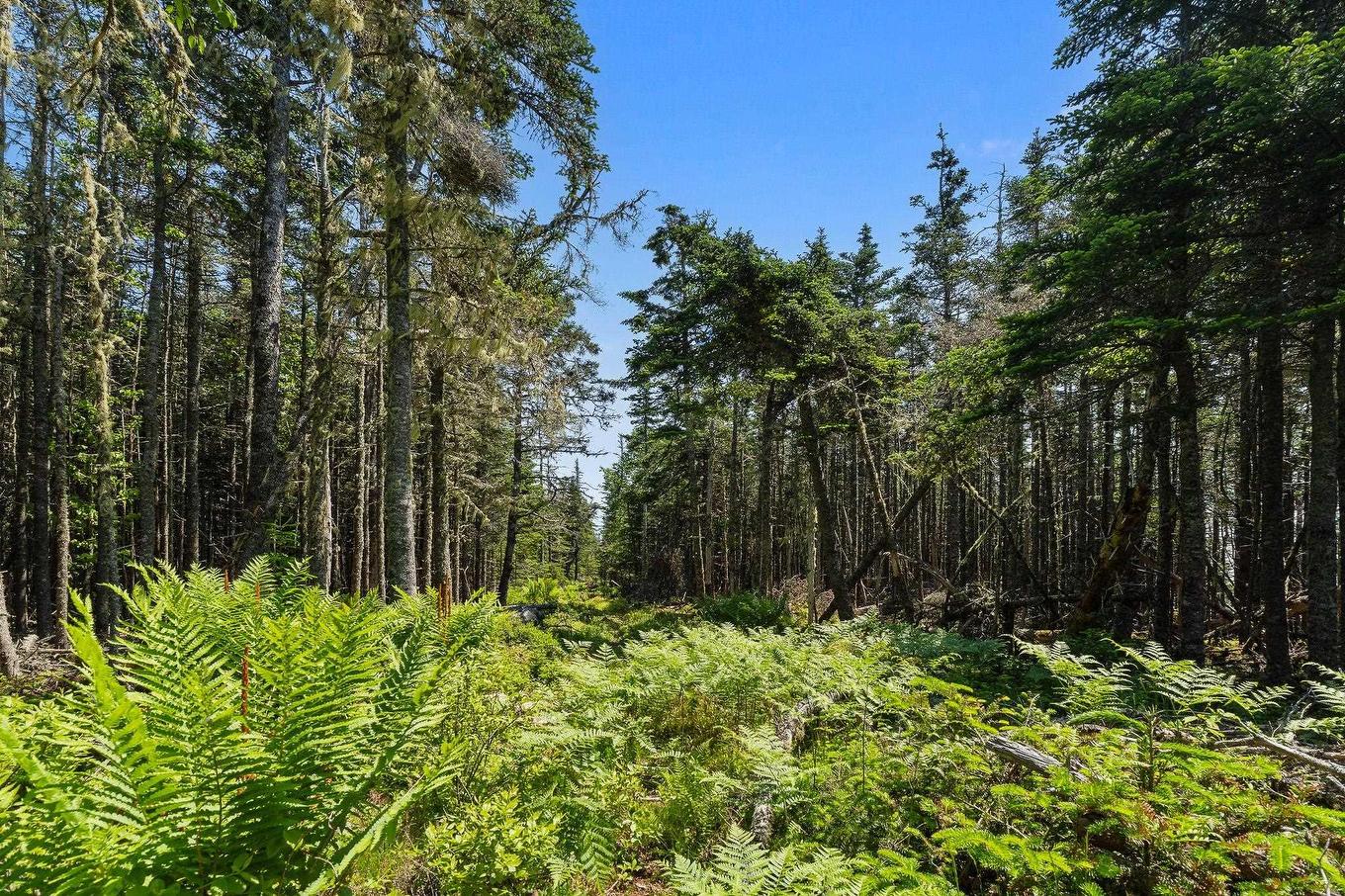 Lot Highway 207, Seaforth, NS