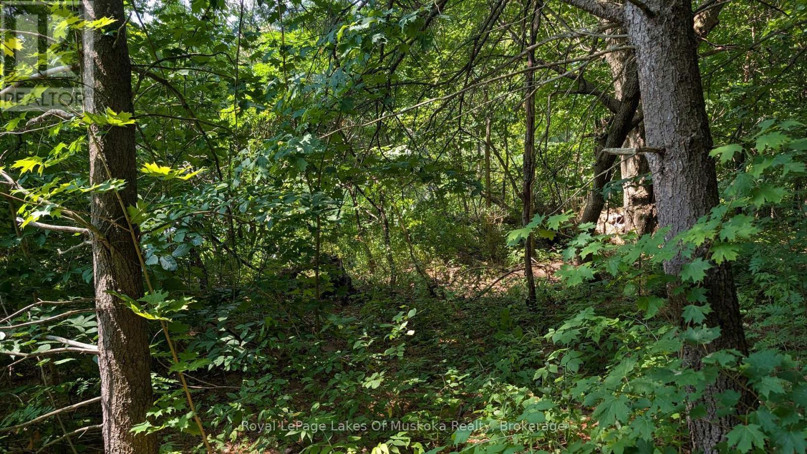 206 Vel-Dor Crescent, Bracebridge (Macaulay), ON