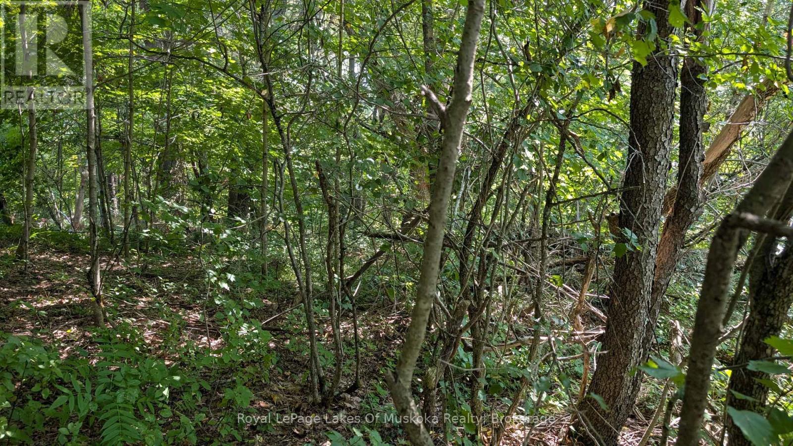 206 Vel-Dor Crescent, Bracebridge (Macaulay), ON