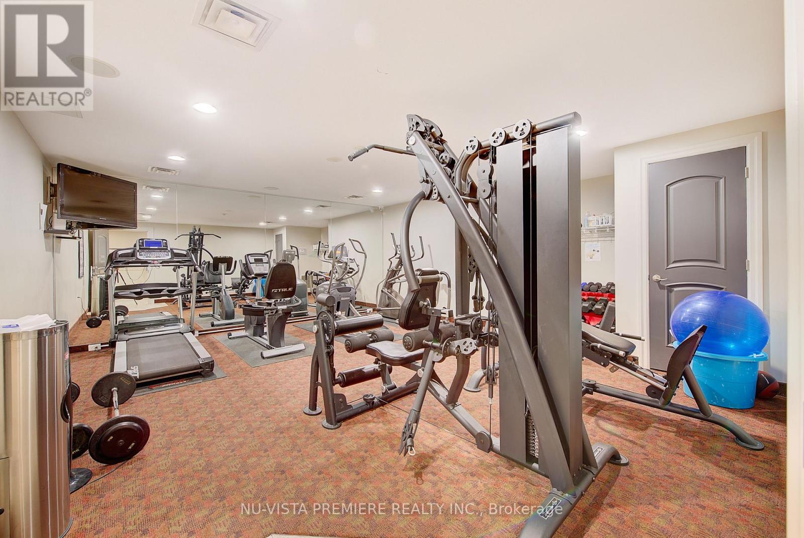 1203 - 250 Pall Mall Street, London East (East F), ON - Indoor Photo Showing Gym Room