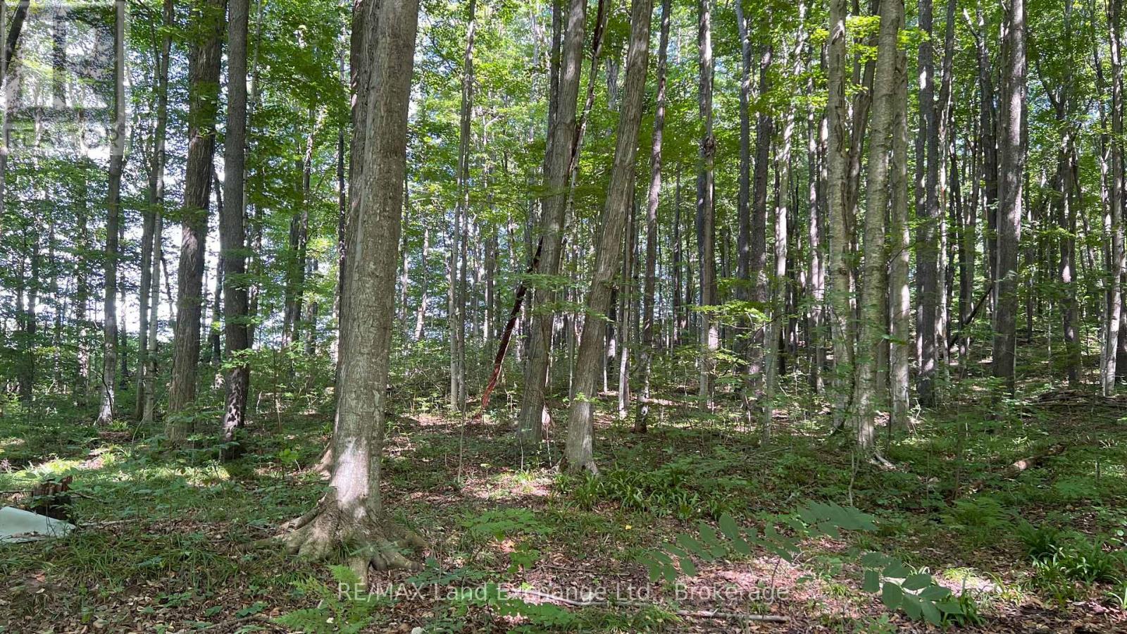 36718 River Road, Ashfield-Colborne-Wawanosh (Ashfield Twp), ON