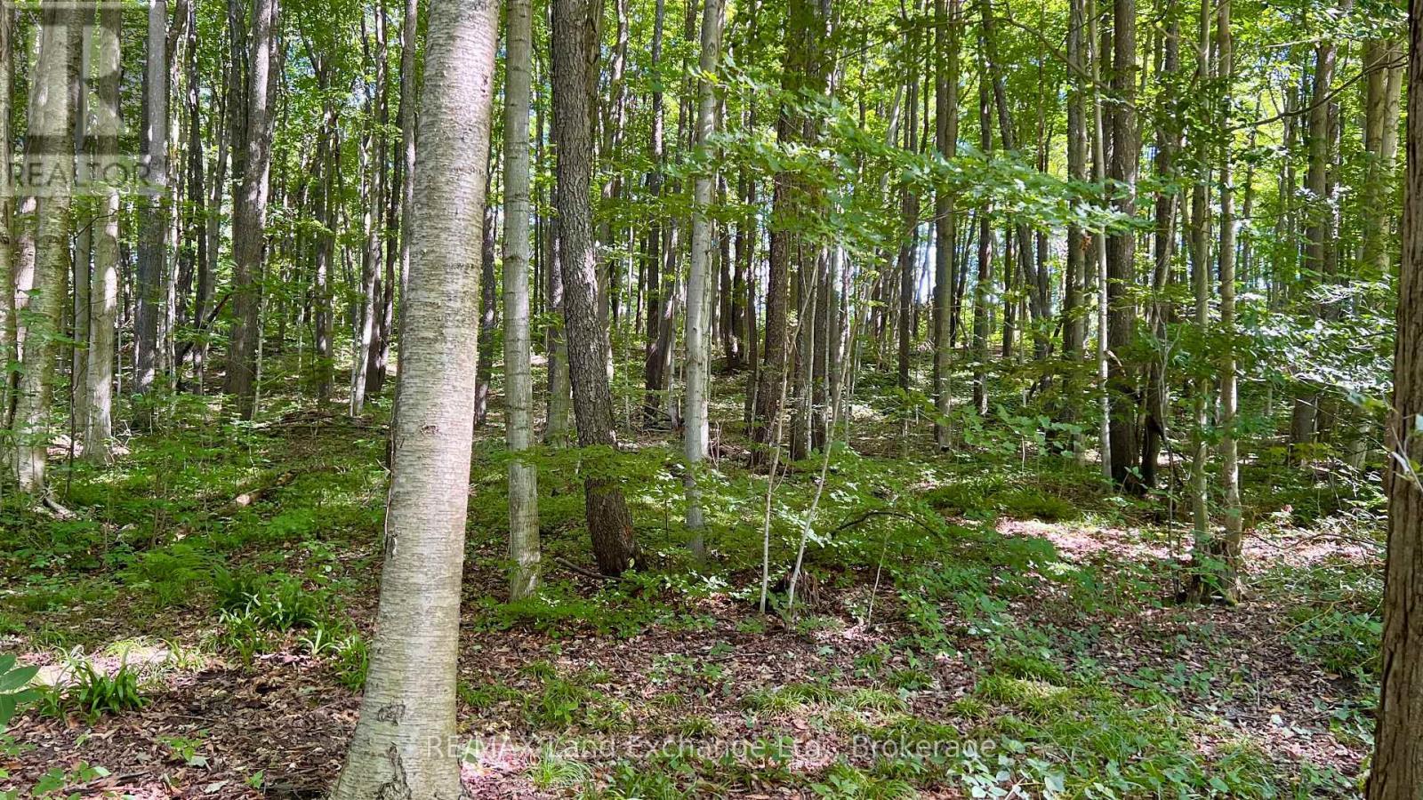 36718 River Road, Ashfield-Colborne-Wawanosh (Ashfield Twp), ON