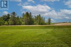 Back view of yard. -