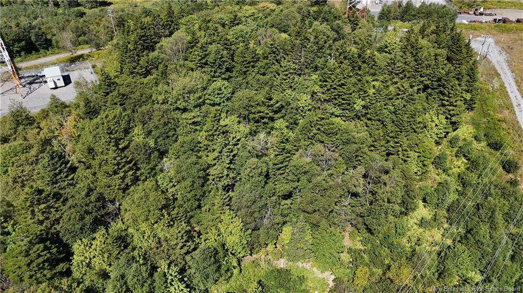 298 Westmorland Rd, Saint John, NB