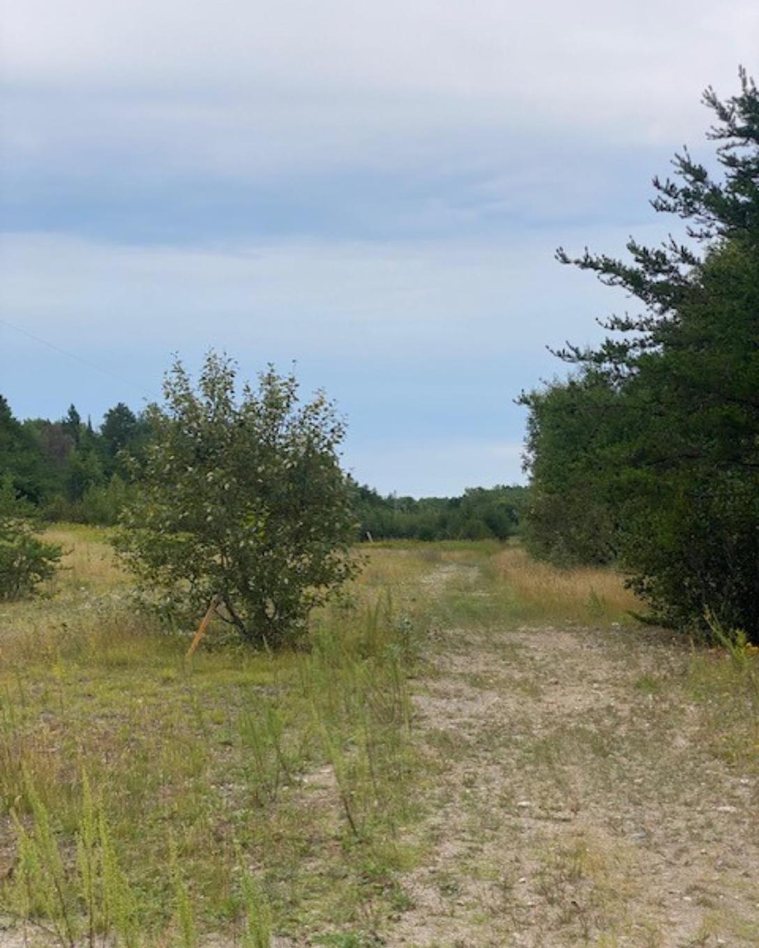 Gaye Street, Kenora, ON