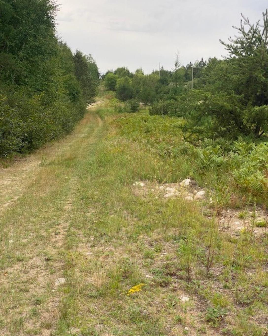 Gaye Street, Kenora, ON