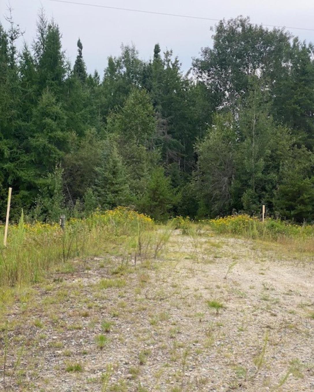 Gaye Street, Kenora, ON