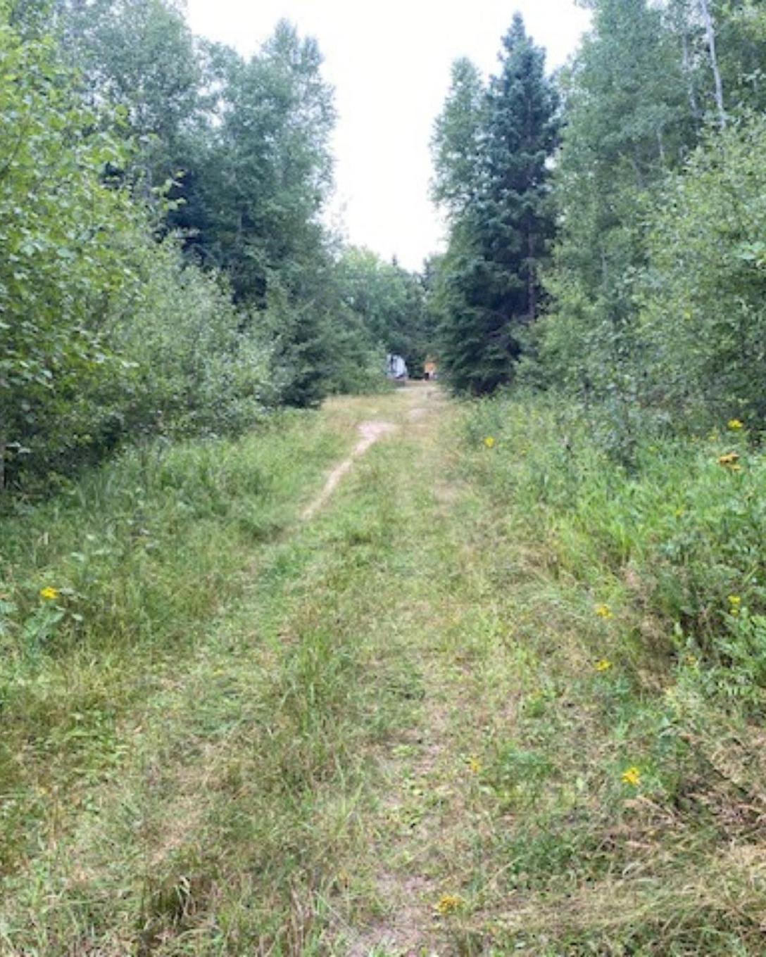 Gaye Street, Kenora, ON