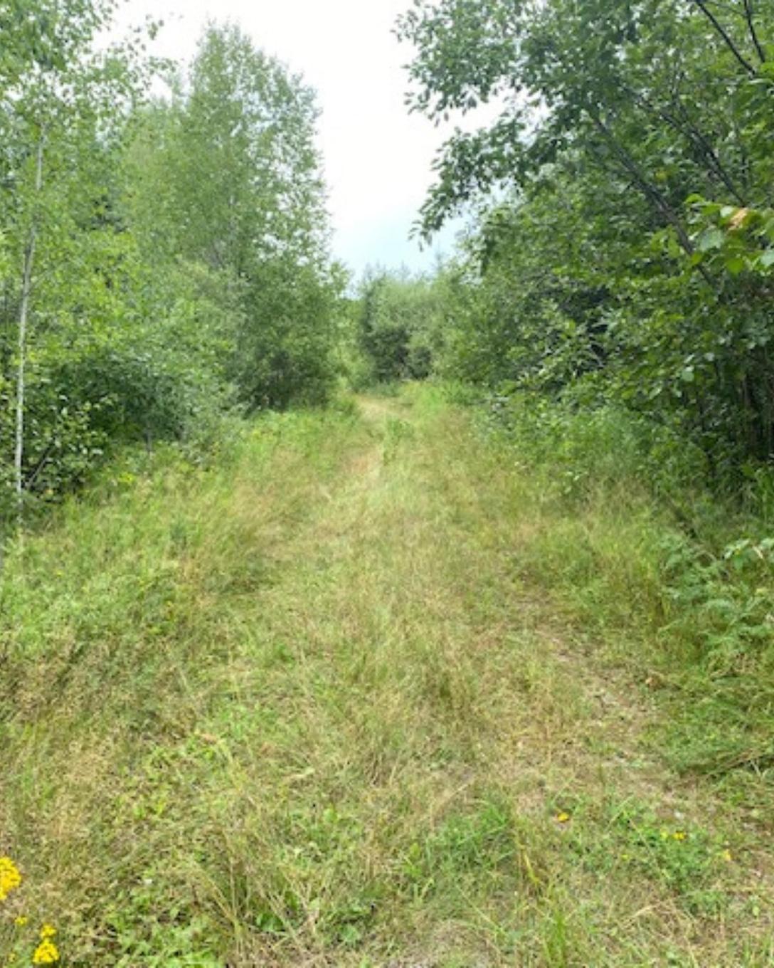 Gaye Street, Kenora, ON