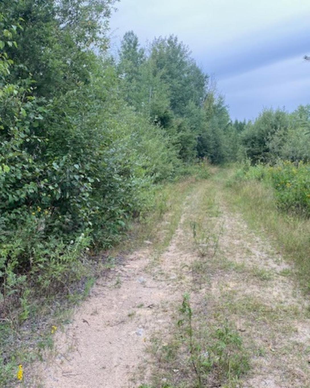 Gaye Street, Kenora, ON