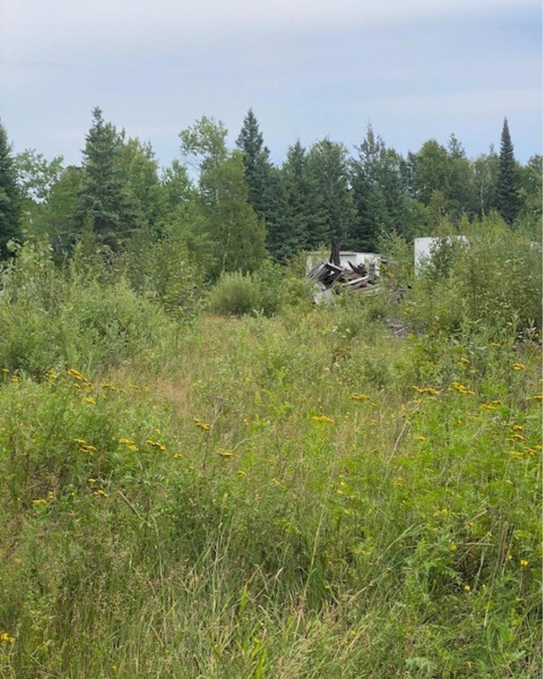 Gaye Street, Kenora, ON