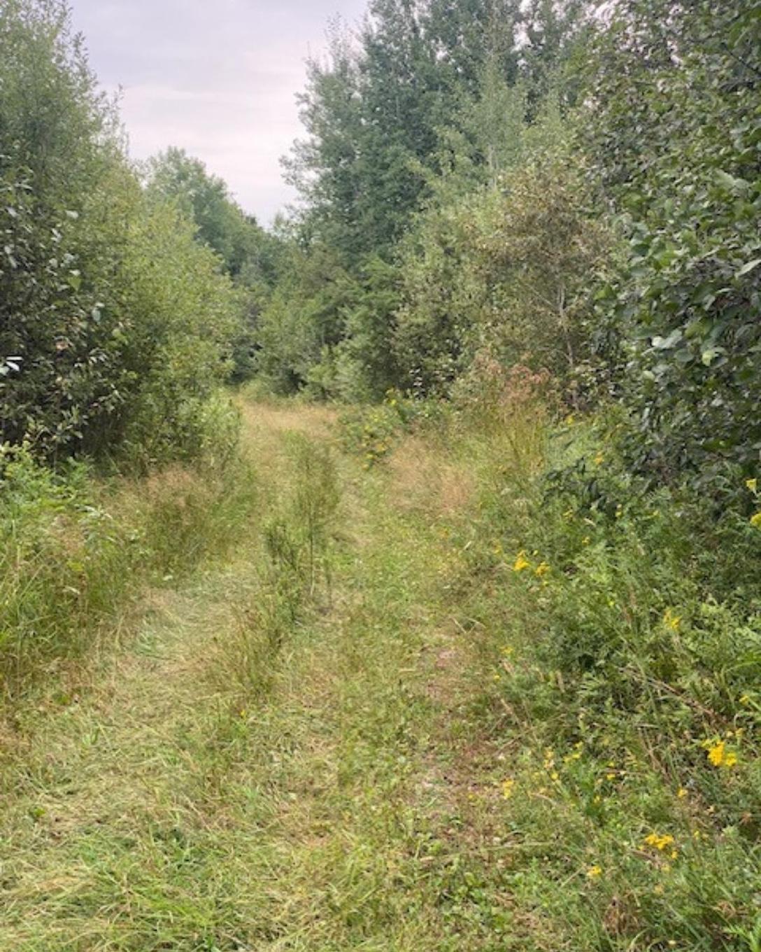 Gaye Street, Kenora, ON