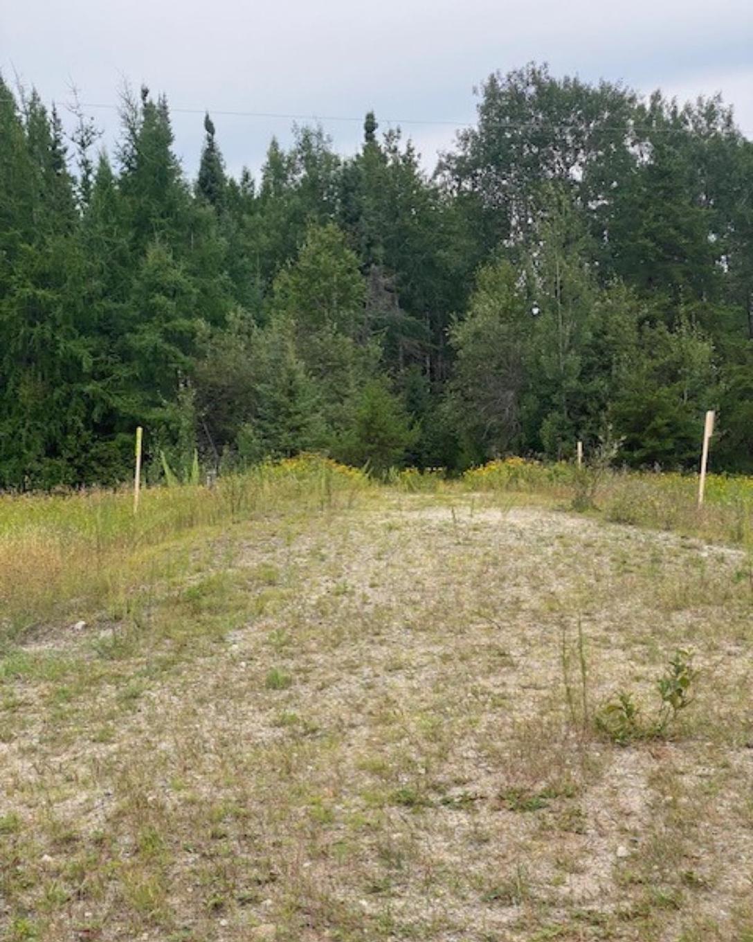 Gaye Street, Kenora, ON