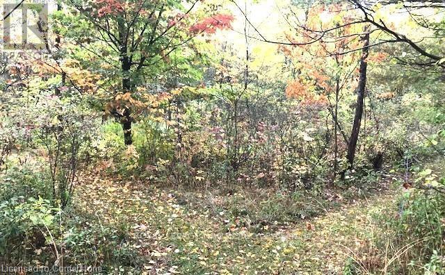 165 Ridge Road E, Grimsby (Grimsby Escarpment), ON - Outdoor