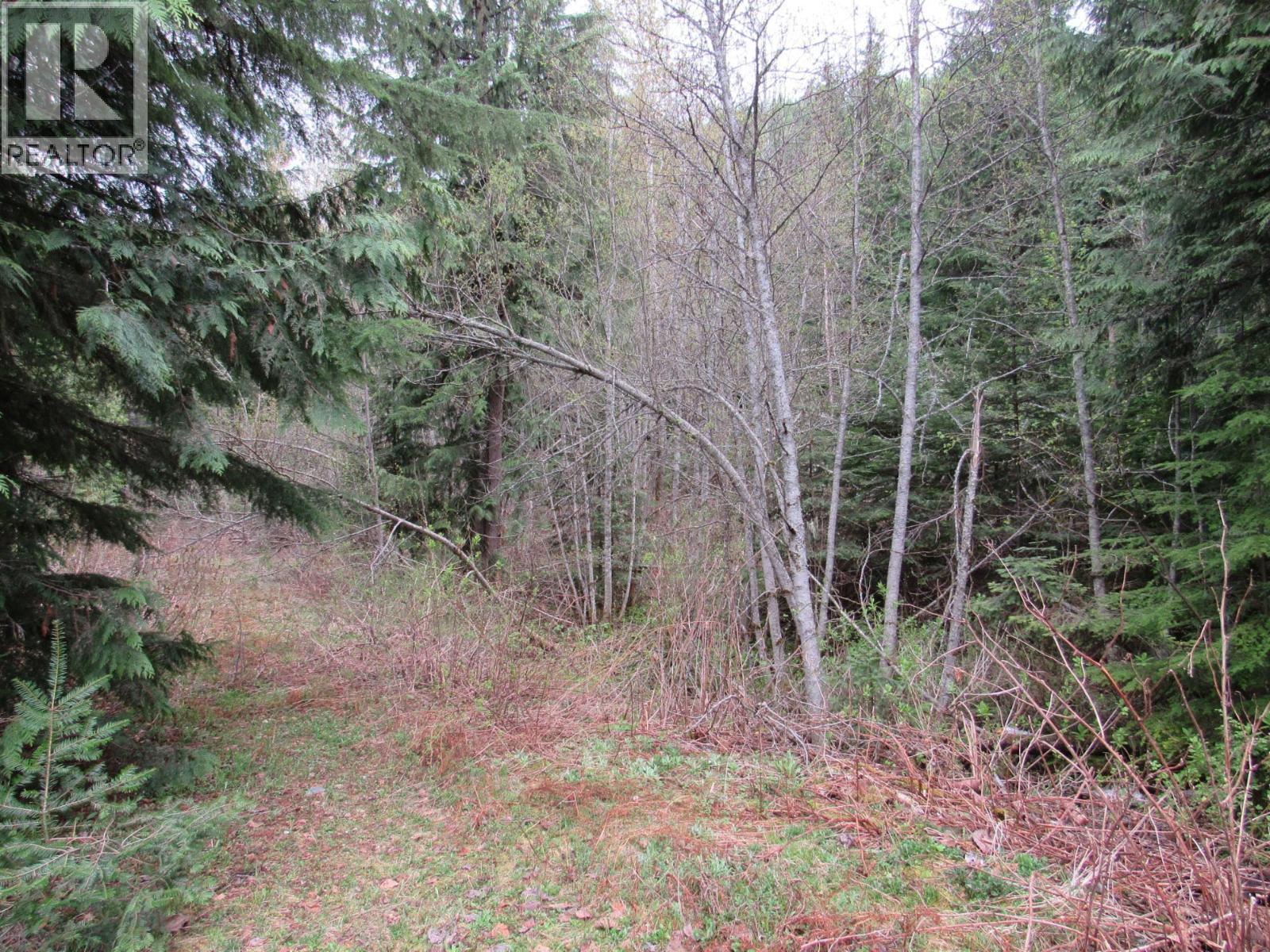 Lot B 3 Highway, Salmo, BC