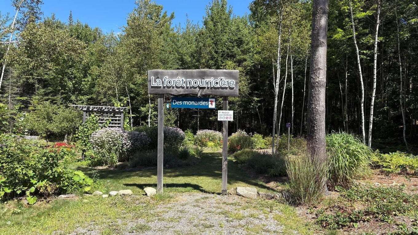 À proximité - 217 Rue Des Capucines, Saint-Hippolyte, QC - Outdoor