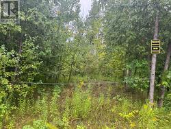 LOT 38 SUMCOT DRIVE Trent Lakes, ON K0L 1J0