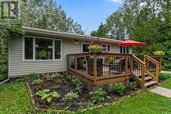 Perrenial low maintenance gardens -