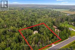 Private treed property -