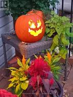 Autumn Decor -