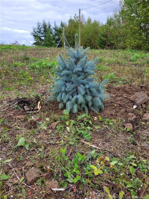 10665 Principale, Saint-Louis-De-Kent, NB