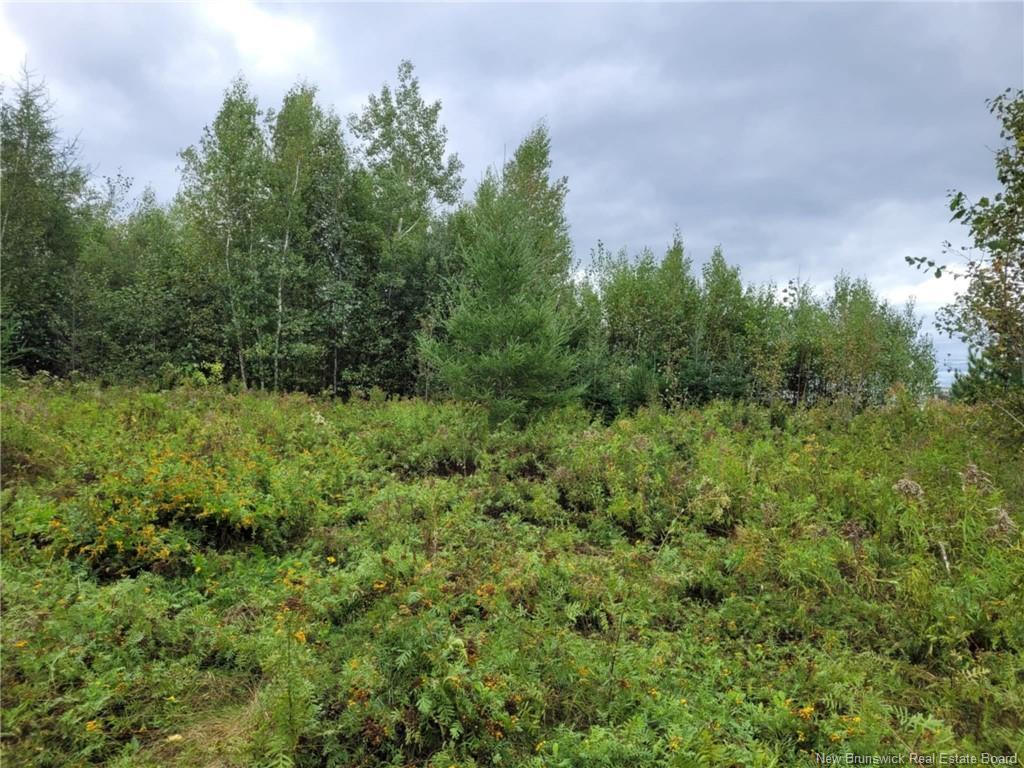 10665 Principale, Saint-Louis-De-Kent, NB