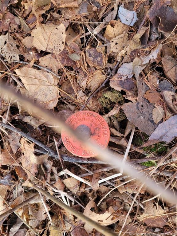 10665 Principale, Saint-Louis-De-Kent, NB