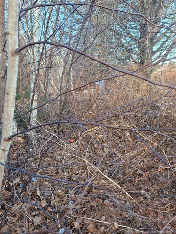 10665 Principale, Saint-Louis-De-Kent, NB