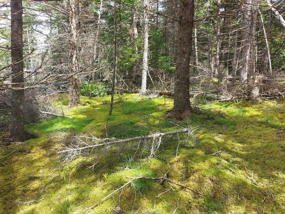 2B Wall Street, Cape George, NS