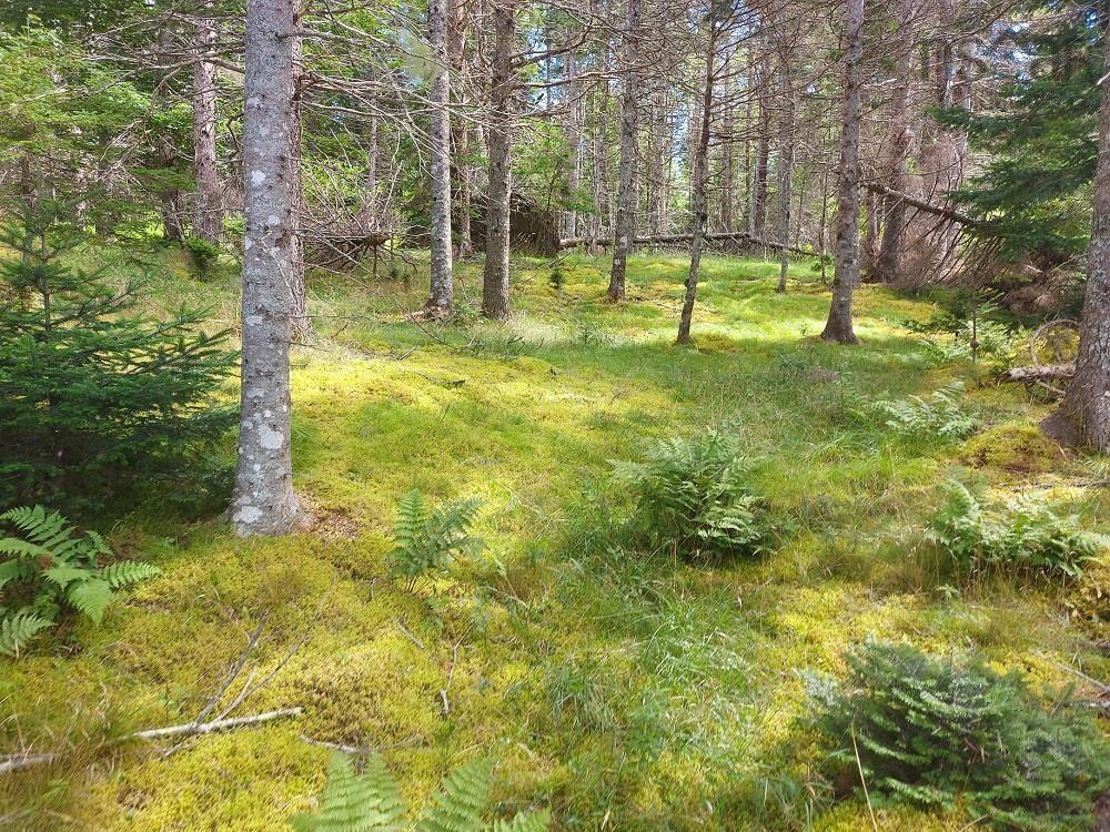 2B Wall Street, Cape George, NS