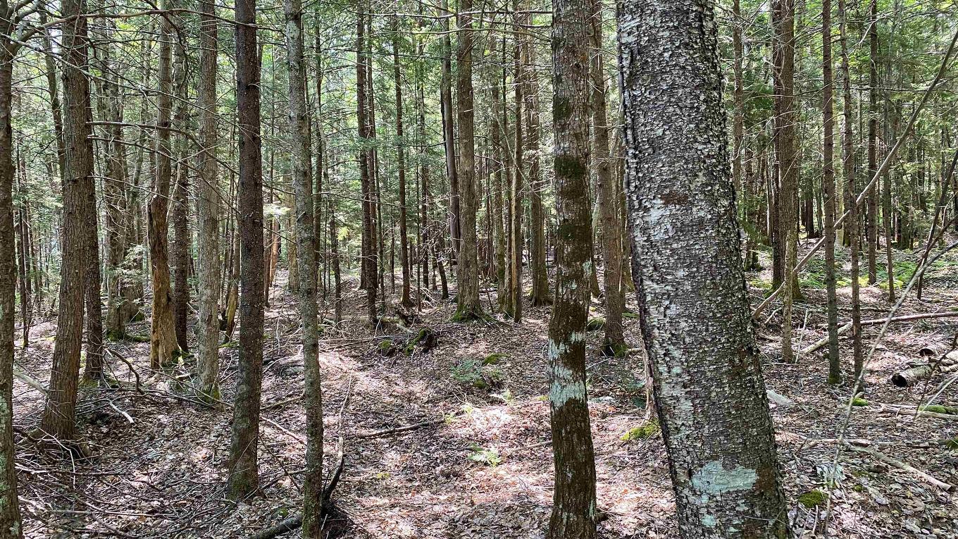 Lot Troop Road, North Range, NS