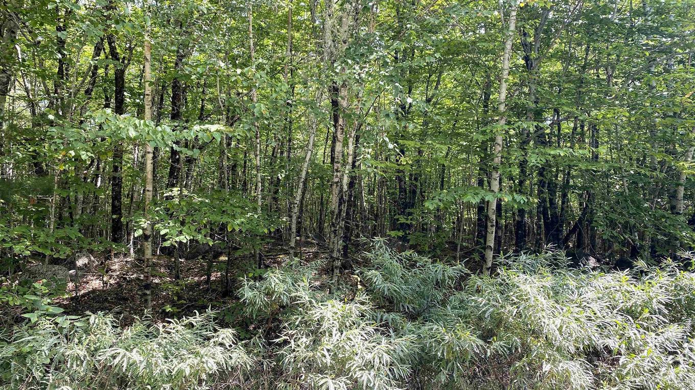 Lot 18 Peters Point Road, South Brookfield, NS