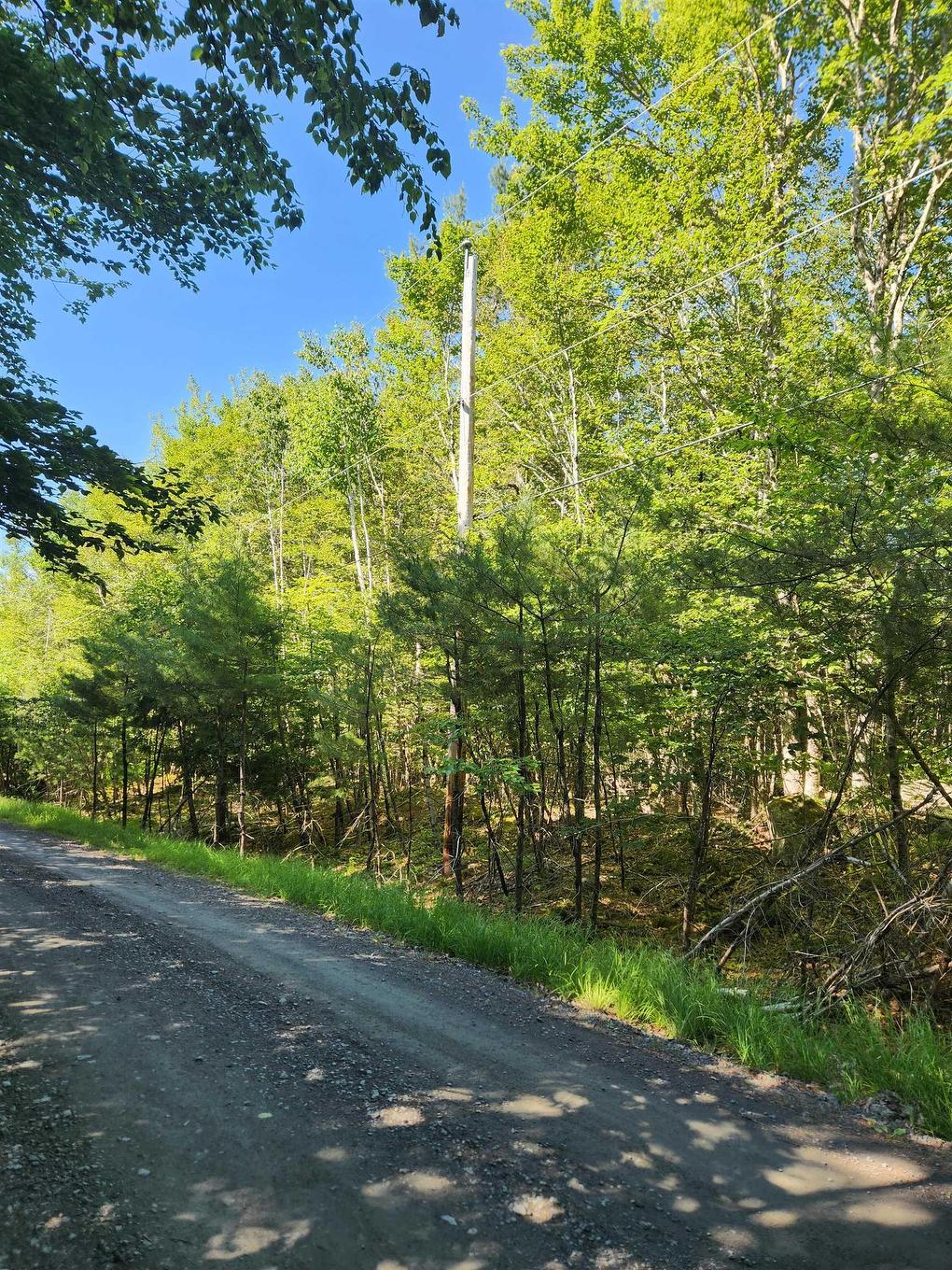 Lot 18 Peters Point Road, South Brookfield, NS