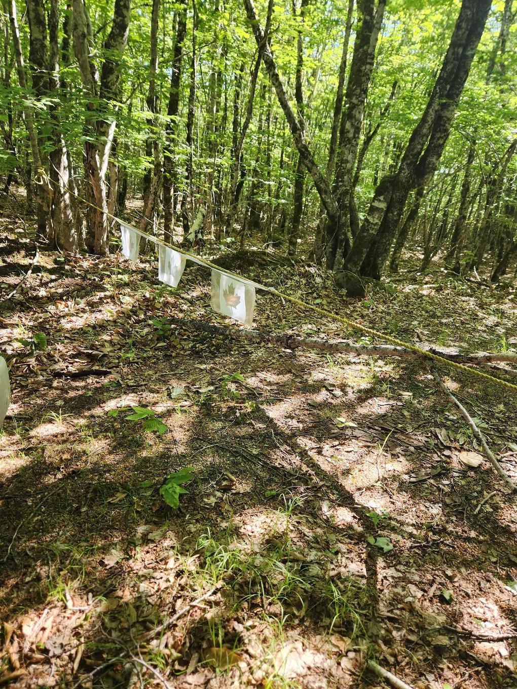 Lot 18 Peters Point Road, South Brookfield, NS