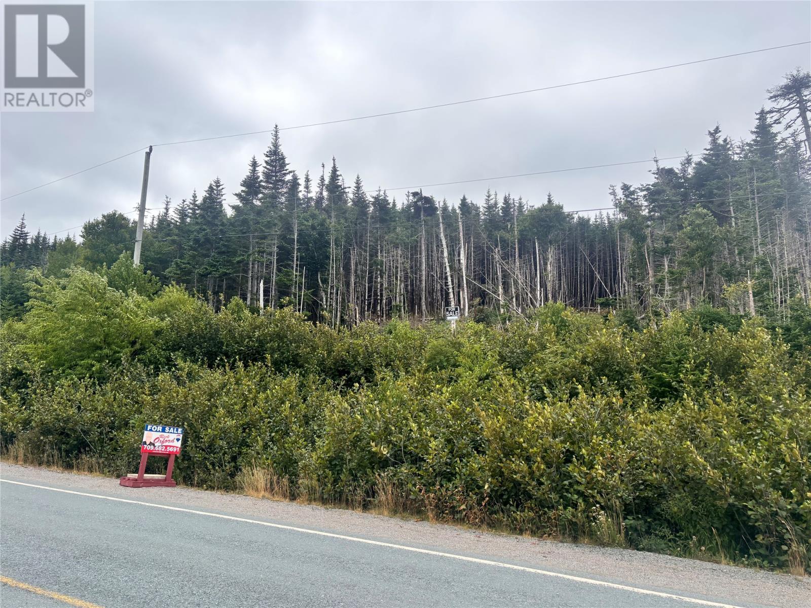 Lot 13 Main Highway Highway, Ferryland, NL