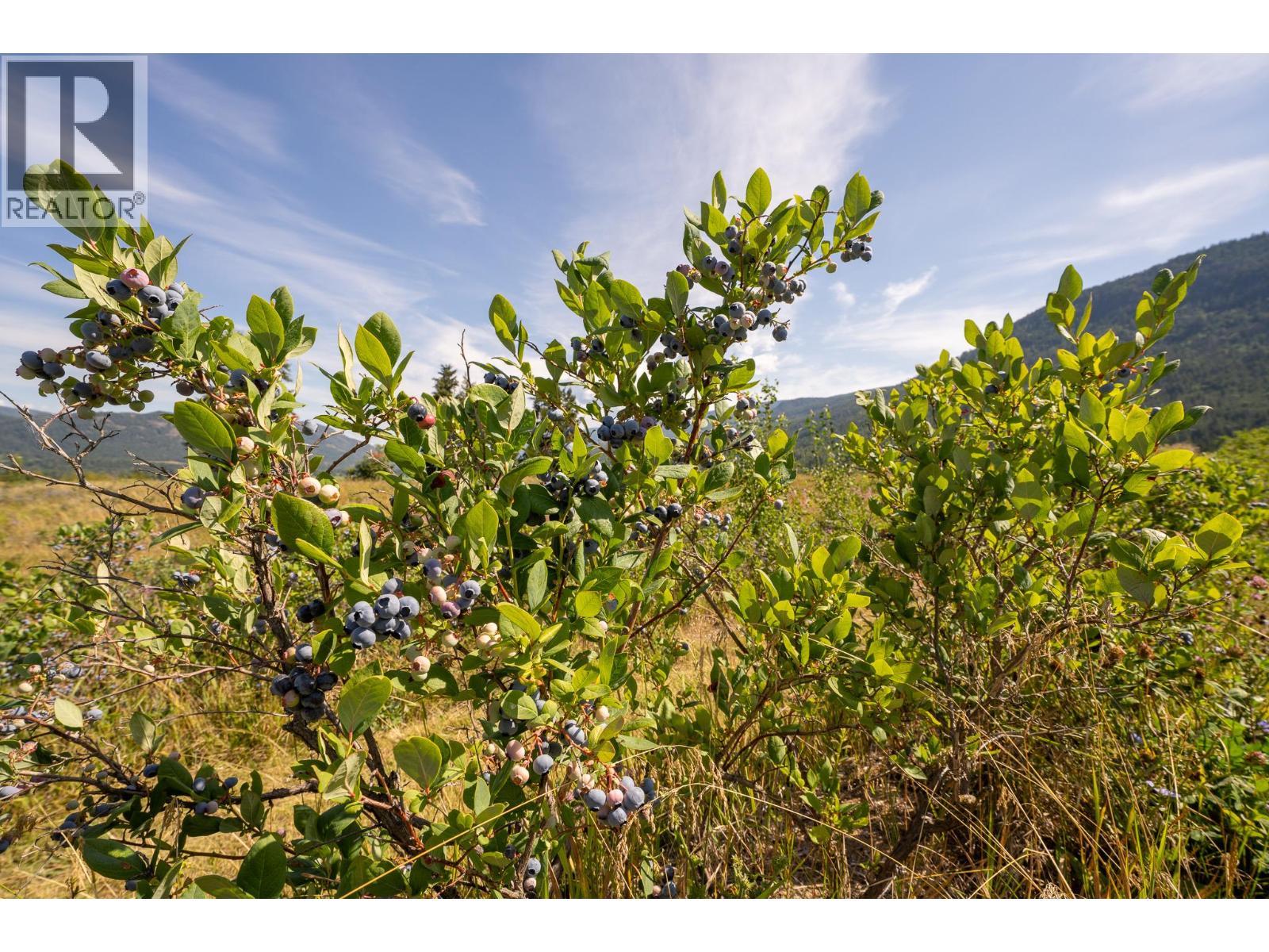 184 Monks Road, Grindrod, BC