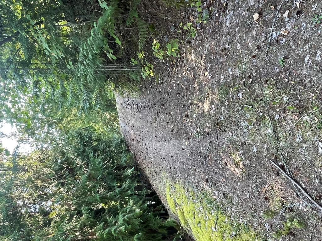 4255 Justin Road, Eagle Bay, BC - Outdoor