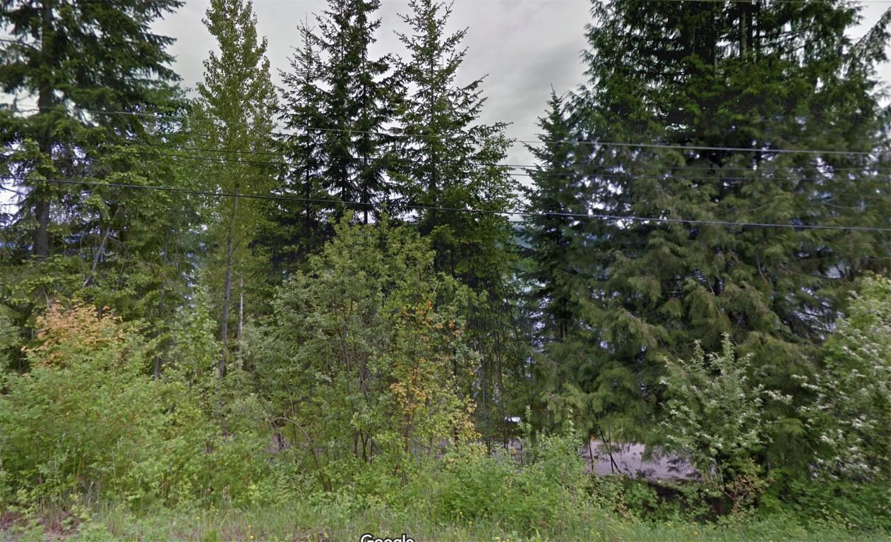 4255 Justin Road, Eagle Bay, BC - Outdoor With View