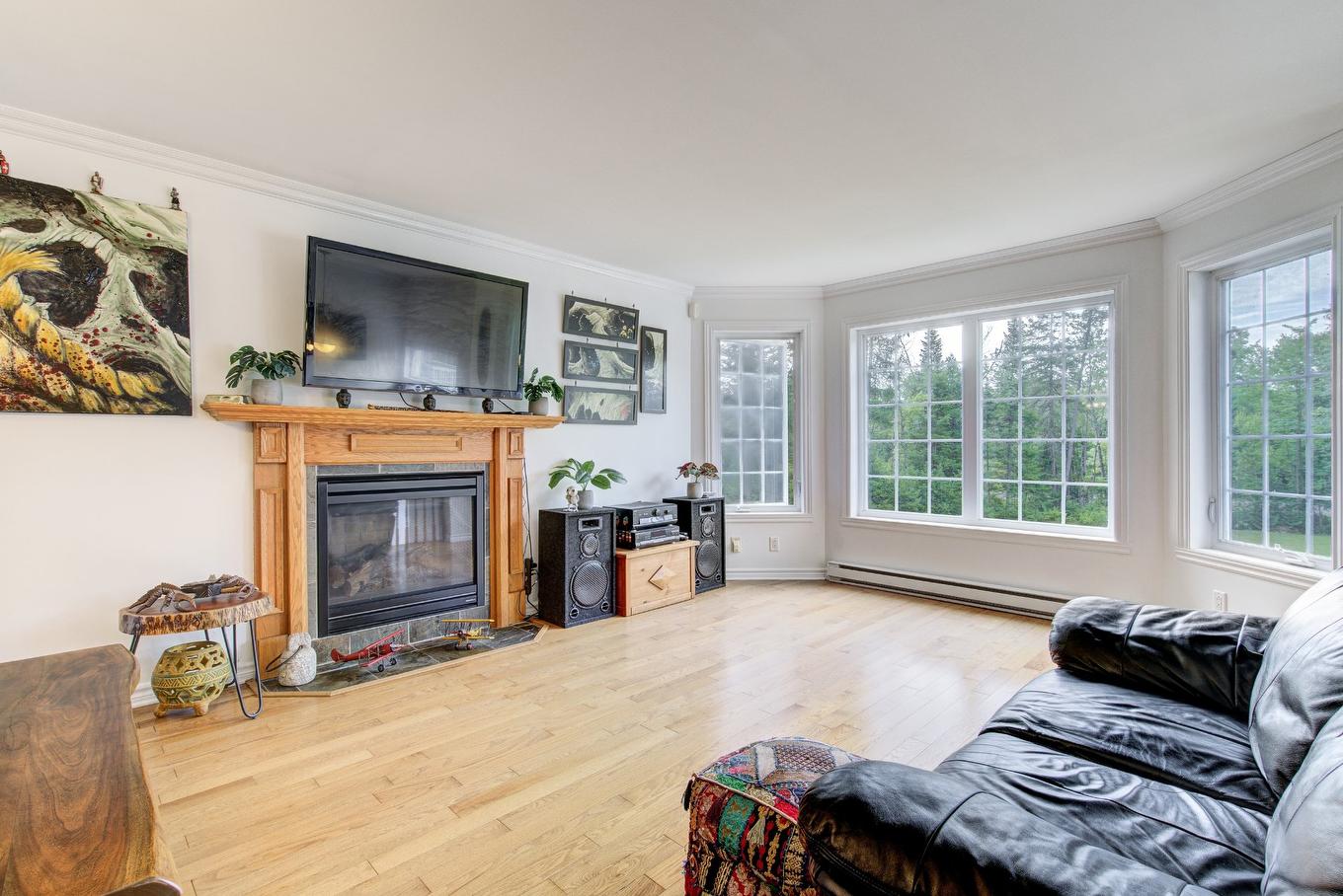 Living room - 159 Ch. Scott, Gore, QC - Indoor Photo Showing Living Room With Fireplace