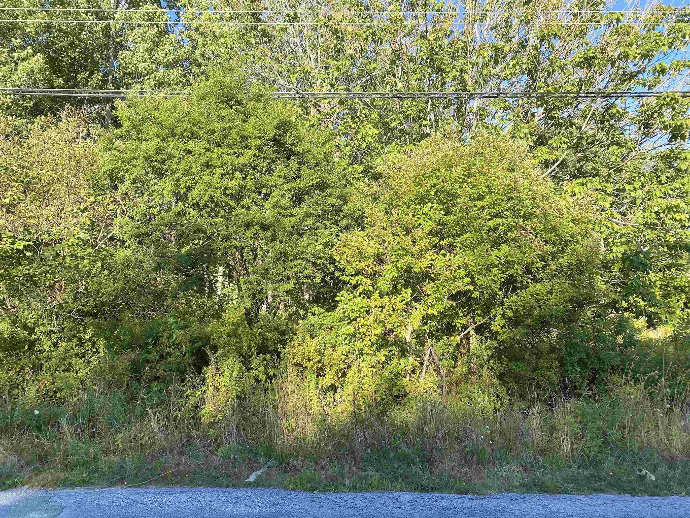 Lots 102 Great Hill Road, Brooklyn, NS